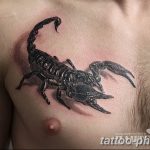 Фото рисунка скорпион 24.11.2018 №278 - photo tattoo scorpion - tattoo-photo.ru