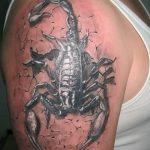 Фото рисунка скорпион 24.11.2018 №281 - photo tattoo scorpion - tattoo-photo.ru