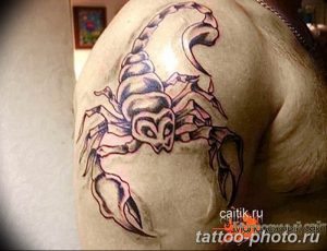 Фото рисунка скорпион 24.11.2018 №282 - photo tattoo scorpion - tattoo-photo.ru