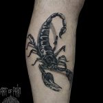 Фото рисунка скорпион 24.11.2018 №283 - photo tattoo scorpion - tattoo-photo.ru