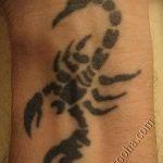 Фото рисунка скорпион 24.11.2018 №285 - photo tattoo scorpion - tattoo-photo.ru