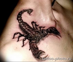 Фото рисунка скорпион 24.11.2018 №286 - photo tattoo scorpion - tattoo-photo.ru