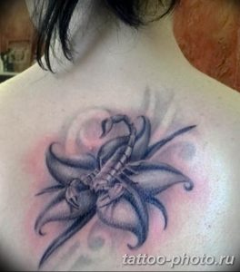 Фото рисунка скорпион 24.11.2018 №290 - photo tattoo scorpion - tattoo-photo.ru