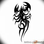 Фото рисунка скорпион 24.11.2018 №292 - photo tattoo scorpion - tattoo-photo.ru