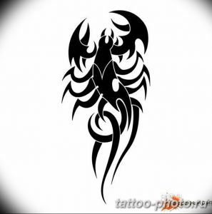 Фото рисунка скорпион 24.11.2018 №292 - photo tattoo scorpion - tattoo-photo.ru
