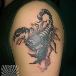 Фото рисунка скорпион 24.11.2018 №293 - photo tattoo scorpion - tattoo-photo.ru