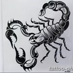 Фото рисунка скорпион 24.11.2018 №296 - photo tattoo scorpion - tattoo-photo.ru