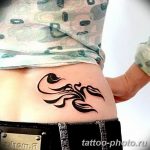 Фото рисунка скорпион 24.11.2018 №297 - photo tattoo scorpion - tattoo-photo.ru