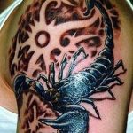 Фото рисунка скорпион 24.11.2018 №298 - photo tattoo scorpion - tattoo-photo.ru