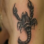 Фото рисунка скорпион 24.11.2018 №301 - photo tattoo scorpion - tattoo-photo.ru