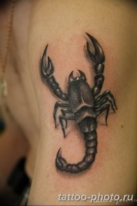 Фото рисунка скорпион 24.11.2018 №301 - photo tattoo scorpion - tattoo-photo.ru