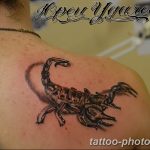 Фото рисунка скорпион 24.11.2018 №303 - photo tattoo scorpion - tattoo-photo.ru