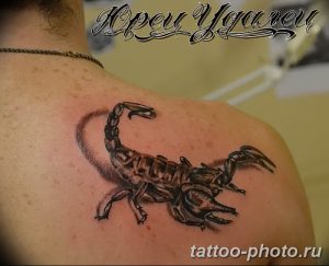 Фото рисунка скорпион 24.11.2018 №303 - photo tattoo scorpion - tattoo-photo.ru