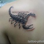 Фото рисунка скорпион 24.11.2018 №306 - photo tattoo scorpion - tattoo-photo.ru