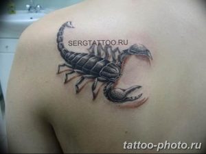 Фото рисунка скорпион 24.11.2018 №306 - photo tattoo scorpion - tattoo-photo.ru