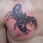 Фото рисунка скорпион 24.11.2018 №312 - photo tattoo scorpion - tattoo-photo.ru