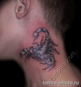 Фото рисунка скорпион 24.11.2018 №317 - photo tattoo scorpion - tattoo-photo.ru