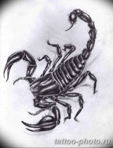 Фото рисунка скорпион 24.11.2018 №319 - photo tattoo scorpion - tattoo-photo.ru