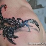 Фото рисунка скорпион 24.11.2018 №324 - photo tattoo scorpion - tattoo-photo.ru
