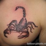 Фото рисунка скорпион 24.11.2018 №325 - photo tattoo scorpion - tattoo-photo.ru