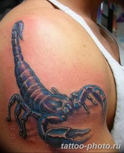 Фото рисунка скорпион 24.11.2018 №326 - photo tattoo scorpion - tattoo-photo.ru