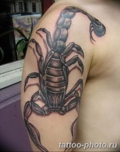 Фото рисунка скорпион 24.11.2018 №327 - photo tattoo scorpion - tattoo-photo.ru