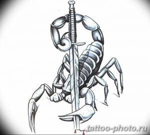 Фото рисунка скорпион 24.11.2018 №328 - photo tattoo scorpion - tattoo-photo.ru