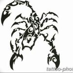 Фото рисунка скорпион 24.11.2018 №329 - photo tattoo scorpion - tattoo-photo.ru