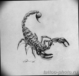 Фото рисунка скорпион 24.11.2018 №330 - photo tattoo scorpion - tattoo-photo.ru