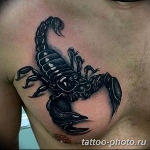 Фото рисунка скорпион 24.11.2018 №332 - photo tattoo scorpion - tattoo-photo.ru