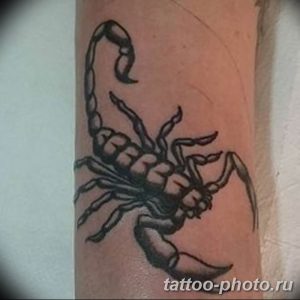 Фото рисунка скорпион 24.11.2018 №335 - photo tattoo scorpion - tattoo-photo.ru
