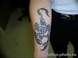 Фото рисунка скорпион 24.11.2018 №336 - photo tattoo scorpion - tattoo-photo.ru