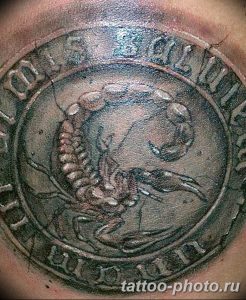 Фото рисунка скорпион 24.11.2018 №337 - photo tattoo scorpion - tattoo-photo.ru