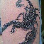 Фото рисунка скорпион 24.11.2018 №339 - photo tattoo scorpion - tattoo-photo.ru