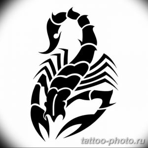 Фото рисунка скорпион 24.11.2018 №340 - photo tattoo scorpion - tattoo-photo.ru