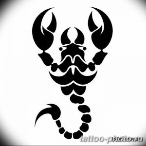 Фото рисунка скорпион 24.11.2018 №341 - photo tattoo scorpion - tattoo-photo.ru