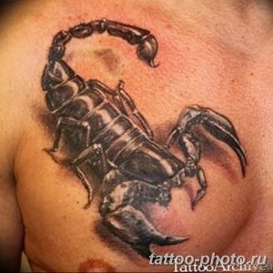 Фото рисунка скорпион 24.11.2018 №342 - photo tattoo scorpion - tattoo-photo.ru
