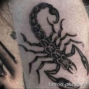 Фото рисунка скорпион 24.11.2018 №344 - photo tattoo scorpion - tattoo-photo.ru