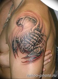 Фото рисунка скорпион 24.11.2018 №345 - photo tattoo scorpion - tattoo-photo.ru