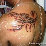 Фото рисунка скорпион 24.11.2018 №347 - photo tattoo scorpion - tattoo-photo.ru