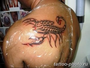 Фото рисунка скорпион 24.11.2018 №347 - photo tattoo scorpion - tattoo-photo.ru