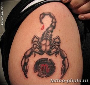 Фото рисунка скорпион 24.11.2018 №348 - photo tattoo scorpion - tattoo-photo.ru