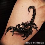 Фото рисунка скорпион 24.11.2018 №349 - photo tattoo scorpion - tattoo-photo.ru
