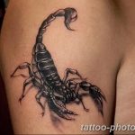 Фото рисунка скорпион 24.11.2018 №351 - photo tattoo scorpion - tattoo-photo.ru