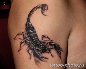 Фото рисунка скорпион 24.11.2018 №351 - photo tattoo scorpion - tattoo-photo.ru