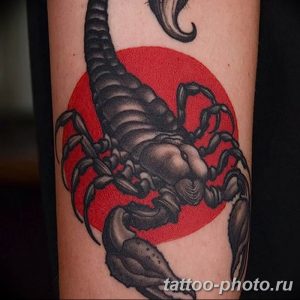 Фото рисунка скорпион 24.11.2018 №352 - photo tattoo scorpion - tattoo-photo.ru
