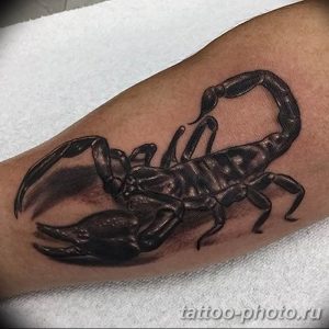 Фото рисунка скорпион 24.11.2018 №354 - photo tattoo scorpion - tattoo-photo.ru