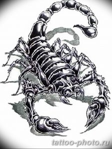 Фото рисунка скорпион 24.11.2018 №357 - photo tattoo scorpion - tattoo-photo.ru
