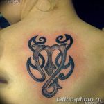 Фото рисунка скорпион 24.11.2018 №360 - photo tattoo scorpion - tattoo-photo.ru
