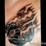 Фото рисунка скорпион 24.11.2018 №362 - photo tattoo scorpion - tattoo-photo.ru